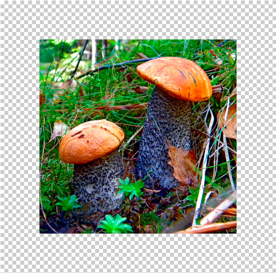 files