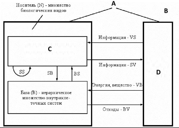 Схема внешних отношений биогеоценоза files